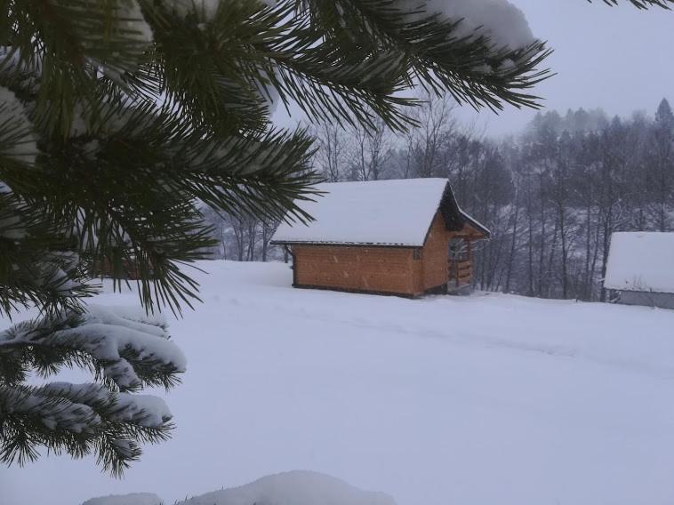 Apartmán Brvnara Brkovic Zlatibor Exteriér fotografie